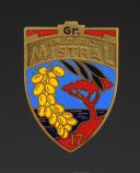 INSIGNE GROUPEMENT 17 MISTRAL DES CHANTIERS DE JEUNESSE, 1er type, Seconde Guerre Mondiale. 31899-1