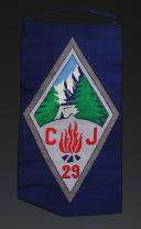 ÉCUSSON GROUPEMENT 29 BUGEAUD groupe 8 DES CHANTIERS DE JEUNESSE, Seconde Guerre Mondiale. 31679-8