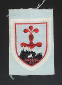 PATCH GROUPEMENT 37 BAYARD control group OF THE YOUTH CAMPS 2nd model, Second World War. 31694-1R