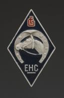 INSIGNE DE L'ÉTABLISSEMENT HIPPIQUE DES CHANTIERS DE JEUNESSE, Seconde Guerre Mondiale. 31795-2