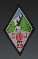 ÉCUSSON GROUPEMENT 29 BUGEAUD groupe 9 (variante sapins vert clair) DES CHANTIERS DE JEUNESSE, Seconde Guerre Mondiale. 31679-10