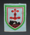ÉCUSSON GROUPEMENT 37 BAYARD groupe 4 DES CHANTIERS DE JEUNESSE 2d modèle, Seconde Guerre Mondiale. 31694-3