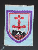 ÉCUSSON GROUPEMENT 37 BAYARD groupe 7 DES CHANTIERS DE JEUNESSE 2d modèle, Seconde Guerre Mondiale. 31694-4