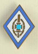 INSIGNE D'HONNEUR AU NIVEAU DU ORT DE L'ASSOCIATION NATIONAL-SOCIALISTE DES VICTIMES DE LA GUERRE, NSKOV - National Sozialistische Kriegsopferversorgung, Troisième Reich. 12713