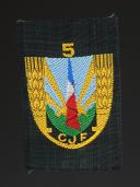 ÉCUSSON GÉNÉRAL DE BÉRET DE GROUPEMENT 5 DES CHANTIERS DE JEUNESSE, Seconde Guerre Mondiale. 31730-6-V5