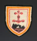 PATCH GROUPEMENT 37 BAYARD group 5 OF THE YOUTH LABOR CORPS 2nd model (variant with white background), Second World War. 31694-5