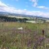 SIMO31310 propose de la location d'outils entre particulier sur Montesquieu-Volvestre