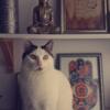Abeh propose de la location d'outils entre particulier sur Chatou