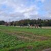 GrvceK propose de la location d'outils entre particulier sur Épinay-sur-Seine