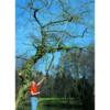 Location outil Coupe branches sur perche 6,5m fiskars près de Saint-Médard-en-Jalles