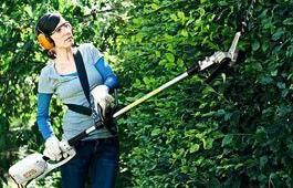 Location outil Taille haie sur perche stihl hle 71 près de Dreux