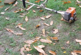 Location outil Débroussailleuse Thermique Stihl près de Toulenne
