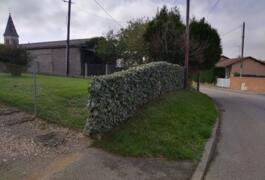 Location outil Escabeau 12 marches  près de Savigneux