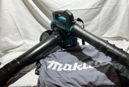 Location outil Aspirateur souffleur électrique près de Dauendorf