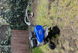 Location outil Motoculteur Thermique Staub près de Talence