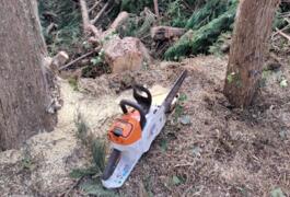 Location outil Tronçonneuse Sans-fil Stihl près de Les Pavillons-sous-Bois