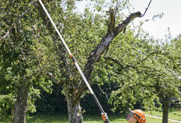 Location outil Tronçonneuse élagueuse Thermique Stihl près de La Ravoire