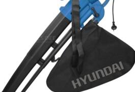 Location outil Souffleur à feuille électrique Hyundai près de Amuré