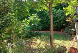 Location outil Échelle télescopique 5m  près de Paris