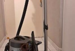 Location outil Aspirateur purificateur rainbow  près de Jebsheim