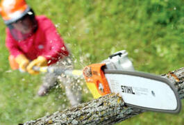 Location outil Tronçonneuse sur perche Thermique Stihl près de Les Loges