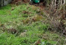 Location outil Mini pelle Avec conducteur près de Landeronde