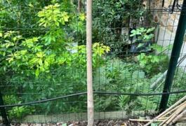 Location outil Pelle terrassier acier manche bois L.120 cm près de Saint-Cloud