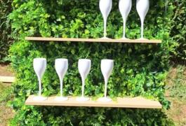 Location outil Mur A champagne végétal  près de Le blanc mesnil