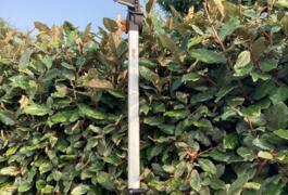 Location outil Coupe branche Télescopique près de Surzur