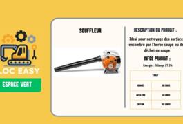 Location outil Souffleur Thermique Stihl près de Tourcoing