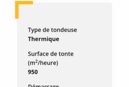 Location outil Tondeuse à gazon Thermique près de Rochechouart