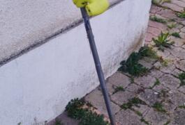 Location outil Débroussailleuse électrique Ryobi près de Bourges