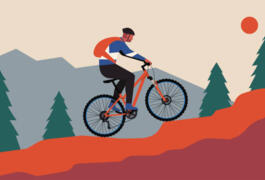 Location outil Vélo  près de Carqueiranne