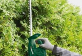 Location outil Taille haie électrique près de Montagnat