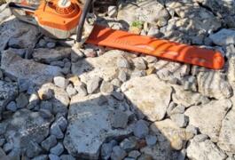 Location outil Taille haie Thermique Stihl près de Artenay