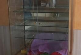 Location outil Vitrine à chocolat près de Saint-Léger-sous-Cholet