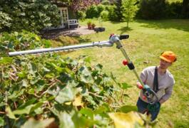 Location outil Taille haie sur perche Électrique Parkside près de Sainte-Soulle