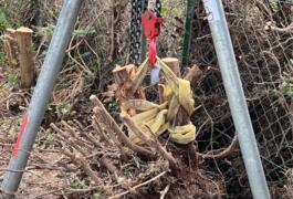 Location outil Arrache souche électrique près de Châlons-sur-Vesle