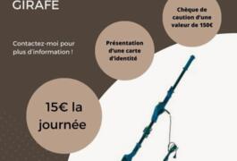 Location outil Ponceuse girafe Électrique Bissell près de Tourcoing