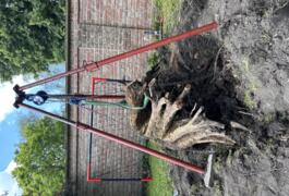 Location outil Rogneuse à souche près de Saint-Saulve