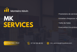 Location outil Tondeuse Thermique Scheppach près de Saint-Aubin-de-Blaye