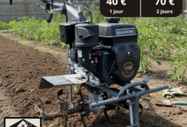 Location outil Motobineuse Thermique près de Chantepie