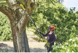 Location outil Tronçonneuse sur perche Électrique Ryobi près de Villeneuve-lès-Avignon