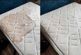 Location outil Shampouineuse Karcher près de Rezé