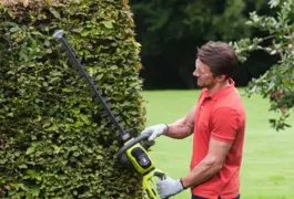 Location outil Taille haie Électrique Ryobi près de Ensisheim