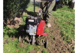 Location outil Motobineuse Thermique près de Montgé-en-Goële