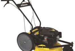 Location outil Débroussailleuse Thermique Briggs &amp; stratton près de Ouzilly