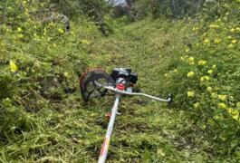 Location outil Débroussailleuse Thermique Sterwins près de Haubourdin