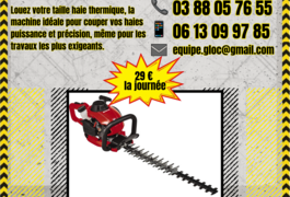 Location outil Taille haie Thermique près de Schweighouse-sur-Moder