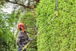 Location outil Taille haie sur perche Électrique Ryobi près de Tomblaine
